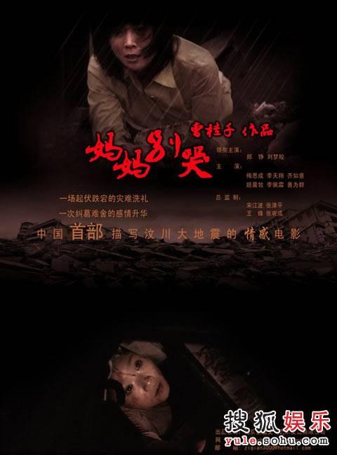 做假摩尔多瓦护照扫描件
